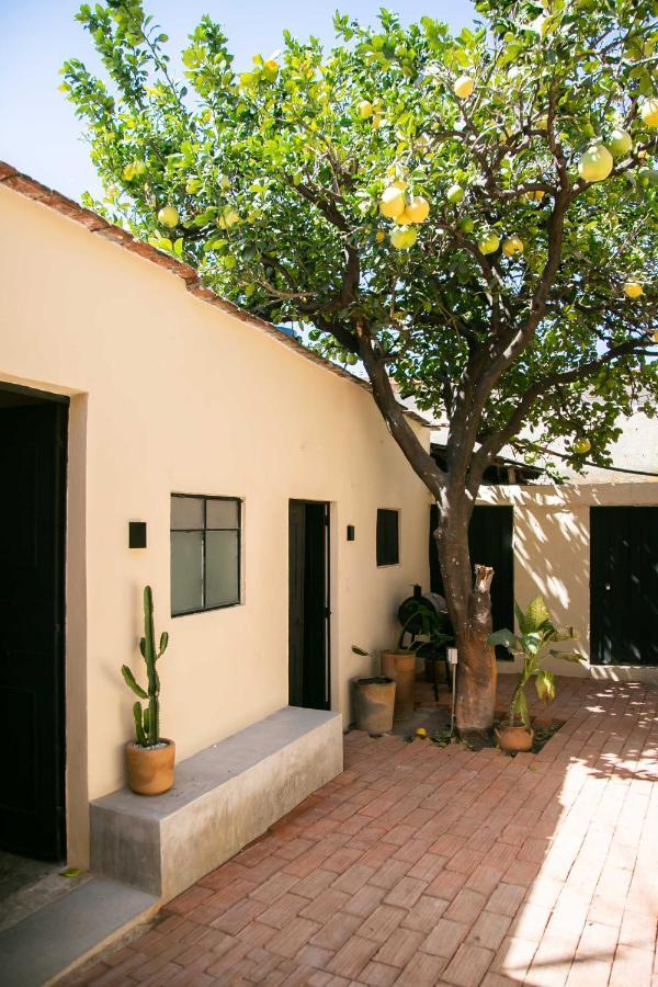 509 Accommodation Oaxaca Экстерьер фото